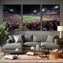 Washington-Grizzly Stadium Canvas Print, American Football
