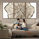 Abstract Wood Tree Ring Wall Art - Ready to Hang Minimalist