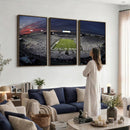 Penn State University Nittany Lions Football Team Print -