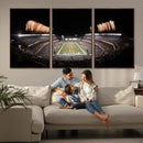 Eagles Field Stadium Wall Art - Lincoln Financial Field