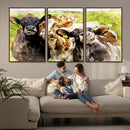 Curious Cows Farmhouse Wall Art | Ready to Hang and Framed
