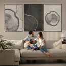 Minimalist Tree Rings Wall Art | Modern Abstract Canvas