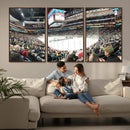 Xcel Energy Center St Paul Minnesota Wild Ice Hockey Stadium