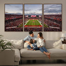 Florida Tampa Raymond James Stadium Wall Art Canvas Print -