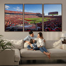 Florida Tampa Raymond James Stadium Wall Art Canvas Print - by MyGreatCanvas | Canvas Wall Art Prints | Photo Prints & Wall Decor