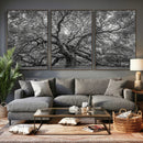 Majestic Angel Oak Tree Black and White Canvas Print – Multi by MyGreatCanvas | Canvas Wall Art Prints | Photo Prints & Wall Decor