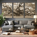 Sepia Framed Angel Oak Tree Wall Art - 3-Panel Canvas