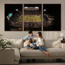 Wake Forest University Demon Deacons Canvas Printi, Football