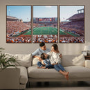 Framed Texas Memorial Stadium Canvas, University of Texas