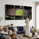 Florida Atlantic University Owls Football Team Print - Boca