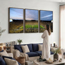 University of Michigan Wolverines Football Team Print - Ann