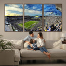 Framed USF Bulls Football Team Print - Tampa Raymond James by MyGreatCanvas | Canvas Wall Art Prints | Photo Prints & Wall Decor