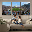 Michigan State Spartans Football Team Art Print - East