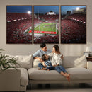 Ohio State University Buckeyes Football Team Print -