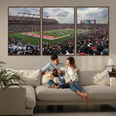 Rutgers Scarlet Knights Football Team Print - SHI Stadium,