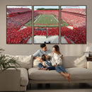 Rutgers Scarlet Knights Football Team Print - Piscataway SHI by MyGreatCanvas | Canvas Wall Art Prints | Photo Prints & Wall Decor