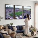 The Texas Christian University TCU Horned Frogs Football