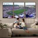The Texas Christian University TCU Horned Frogs Football