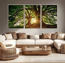 Majestic Ancient Tree Wall Art, NatureCanvas Print, Woodland by MyGreatCanvas | Canvas Wall Art Prints | Photo Prints & Wall Decor