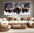 Bison Wall Art Canvas Print- Bison Herd Canvas Wall Art –
