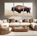Bison in Field Wall Art Canvas Print For Farmhouse Barn