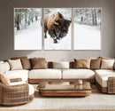 Bison Wall Art Canvas Print For Farmhouse, Animal Canvas