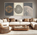 Boho Tree Ring Wall Art, Modern Minimalist Wood Grain