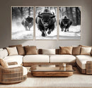 Buffalo Wall Art Canvas Print, Bison Family Wall Art Canvas by MyGreatCanvas | Canvas Wall Art Prints | Photo Prints & Wall Decor