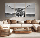 Texas Longhorn Cow Wall Art, Texas Longhorn Canvas, Cattle
