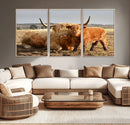 Highland Cow Canvas Wall Art Animal Print for Farm House