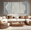 Abstract Tree Ring Wall Art Canvas Print – Nature-Inspired,