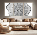 Rustic Tree Ring Wall Art Canvas Print – Framed and Ready to