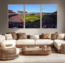 Cincinnati Reds Baseball Canvas Print - American Ball