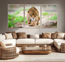 Leopard on the Prowl - Stunning Large Framed Leopard Wall