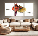 Cardinal Bird Canvas Wall Art - Male and Female Cardinal