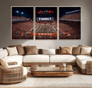 Texas Stadium Night Game Wall Art Canvas Print – Vibrant