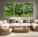 Oak Tree Wall Art Print, Forest Canvas Wall Art for Home and by MyGreatCanvas | Canvas Wall Art Prints | Photo Prints & Wall Decor