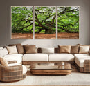 Majestic Oak Tree Wall Art Canvas Print – Ancient Branches by MyGreatCanvas | Canvas Wall Art Prints | Photo Prints & Wall Decor