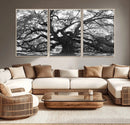 Ancient Oak Wall Art Canvas Print – Gnarled Tree Twisted by MyGreatCanvas | Canvas Wall Art Prints | Photo Prints & Wall Decor