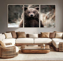 Brown Bear Wall Art Canvas Print – Framed Majestic Woodland