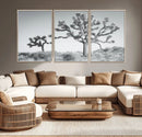 Joshua Trees Wall Art Canvas Print – Framed Black White