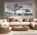 Joshua Tree Wall Art Canvas Print – Framed Monochrome Desert