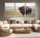Bison Wall Art Canvas Print – Framed Buffalo American Bison