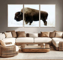 Bison Wall Art Canvas Print – Framed Western Wildlife