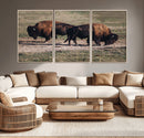 Bison Wall Art Canvas Print – Framed Western Wildlife Modern by MyGreatCanvas | Canvas Wall Art Prints | Photo Prints & Wall Decor