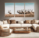 Elk Herd Wall Art Canvas Print – Framed Wildlife Photography