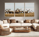 Elk Herd Wall Art Canvas Print – Framed Wildlife Photography