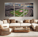 Chicago Bears Soldiers Field Wall Art Canvas Print – Framed