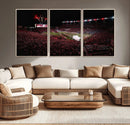 William Brice Stadium Wall Art Print – Baseball Game Room by MyGreatCanvas | Canvas Wall Art Prints | Photo Prints & Wall Decor