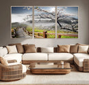 Sakura Cherry Blossom Pathway Canvas Wall Art – Tranquil